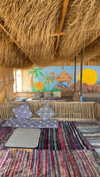 maori_cohen Altpins Profile Picture