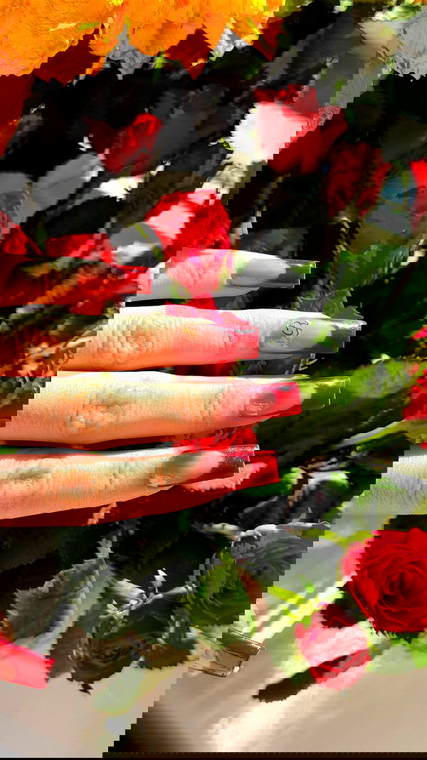 katrina.zaiceva katrina.zaiceva archive image