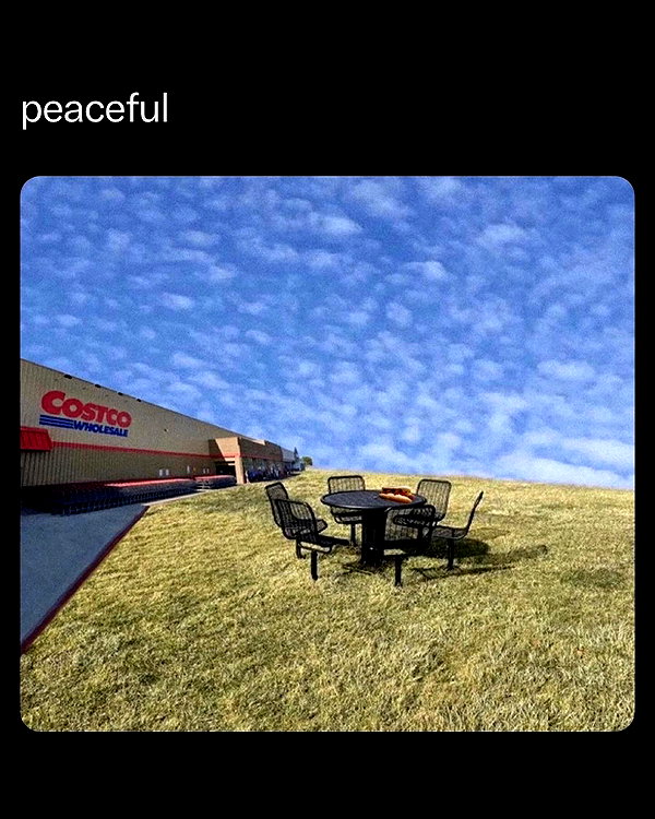 leanbeefpatty instagram image archive image