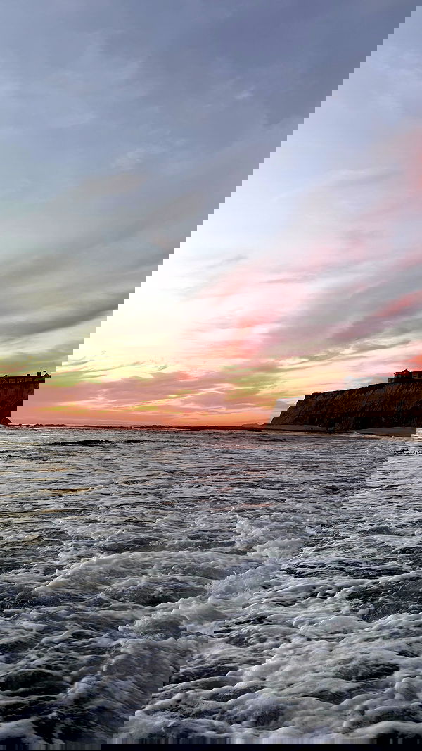 carolinezalog carolinezalog archive image