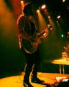 cannonstheband Altpins Profile Picture