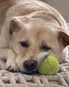 gabbyepstein Altpins Profile Picture