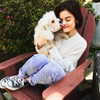 lucyhale Altpins Profile Picture