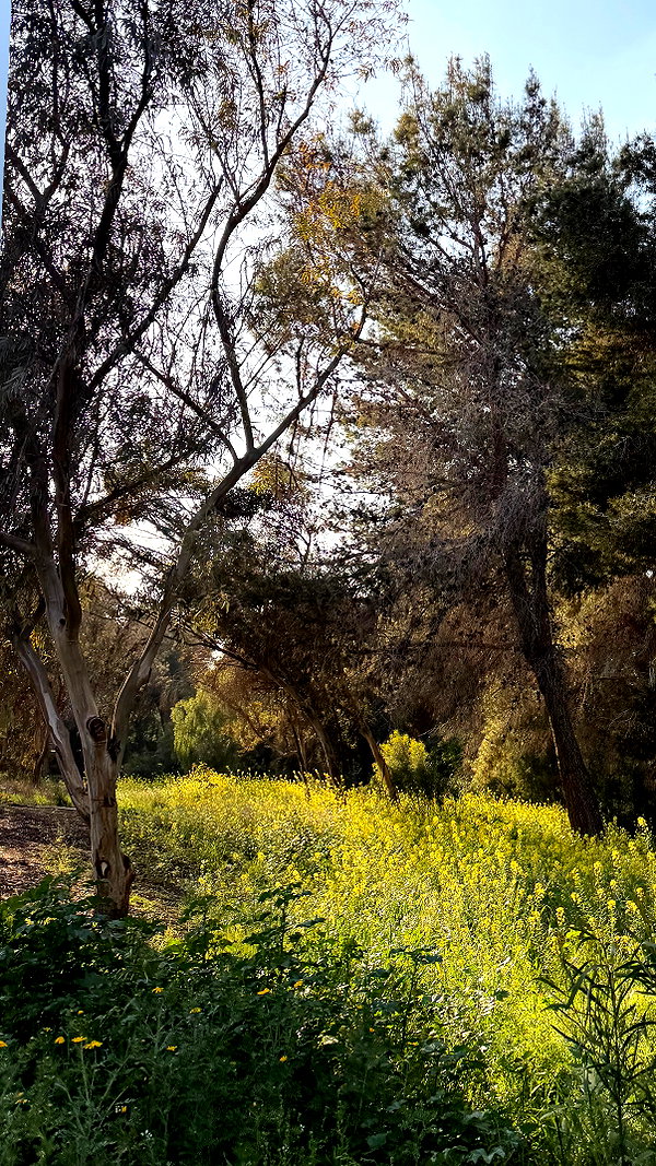 efrat_elmalich instagram image archive image