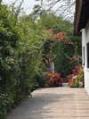 karin_orhov Altpins Profile Picture