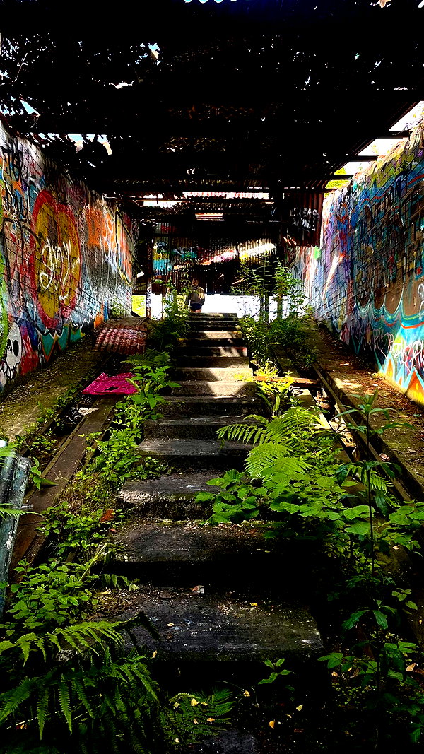 mollieruck instagram image archive image