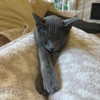 staskaranikolaou Altpins Profile Picture