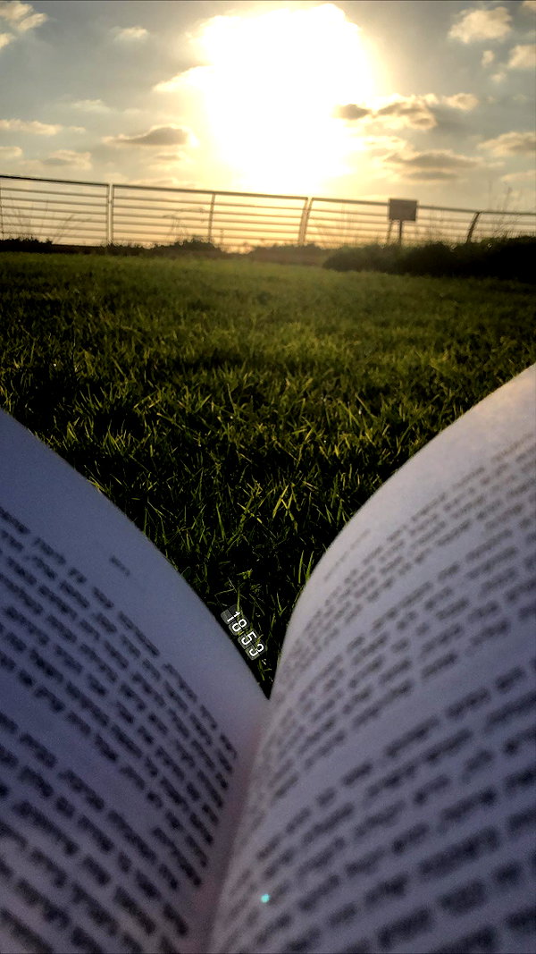 eva_romanovski instagram image archive image