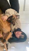 eva.6stuma.com6 Altpins Profile Picture