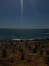 liron_vaitzman Altpins Profile Picture