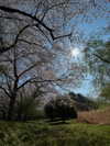 hyeweon__ Altpins Profile Picture