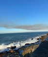 solzarubin_ Altpins Profile Picture