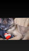 emily_new2 Altpins Profile Picture