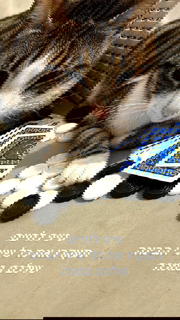 lila.garnik lila.garnik archive image