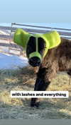 babynympho_archive Altpins Profile Picture
