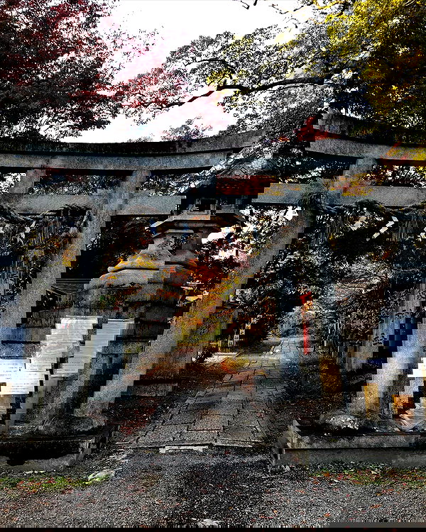 tamagotkri tamagotkri archive image