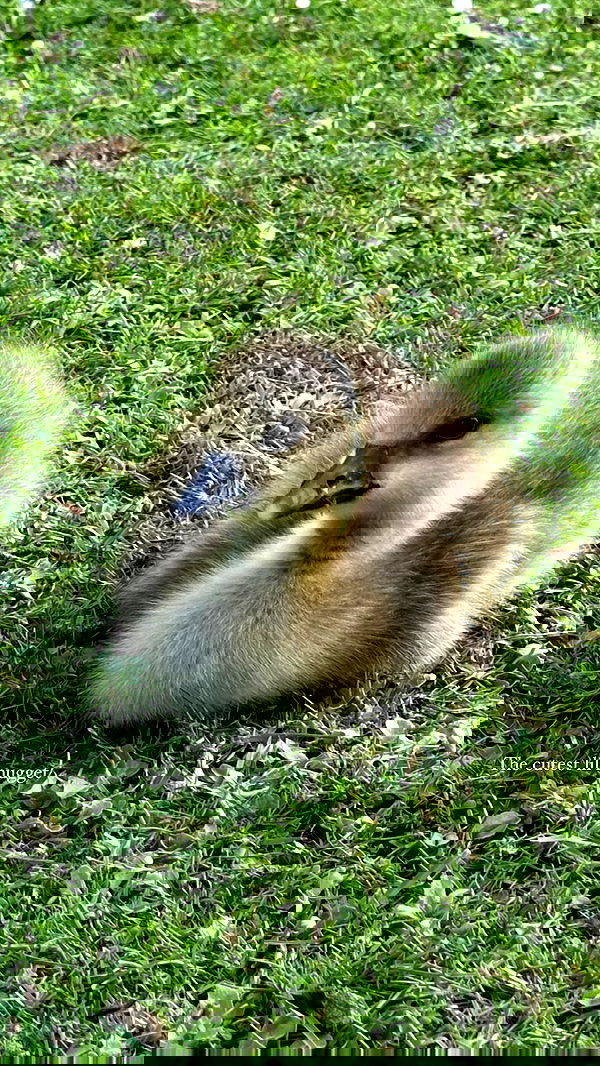 taylor.creeden taylor.creeden archive image