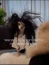 itsilanosh Altpins Profile Picture