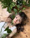f4iryybl00d Altpins Profile Picture