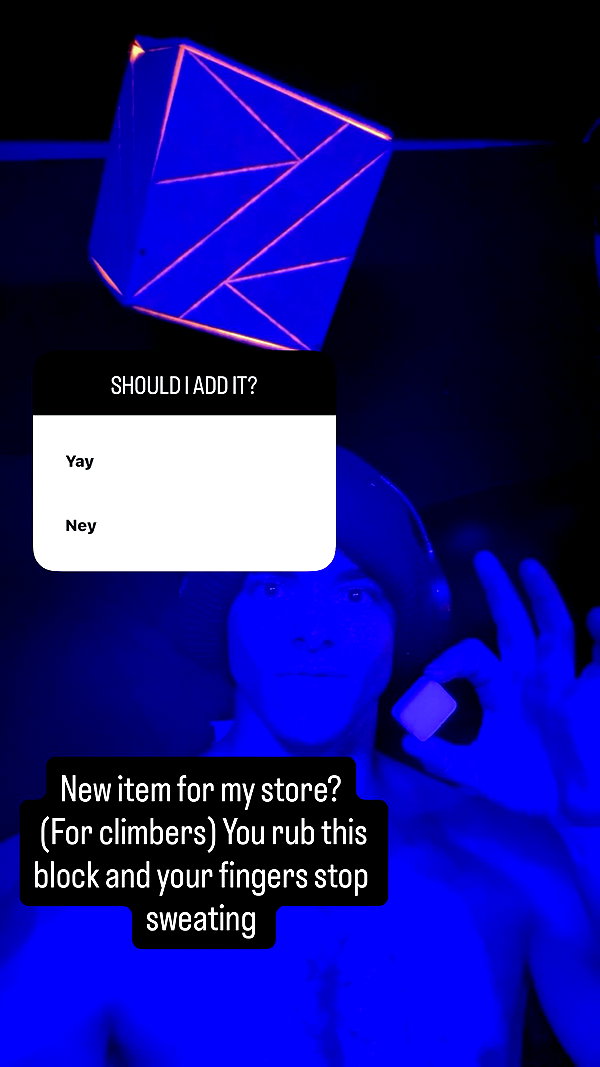 swholeanimal instagram image archive image