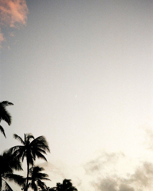 pia__kim instagram image archive image