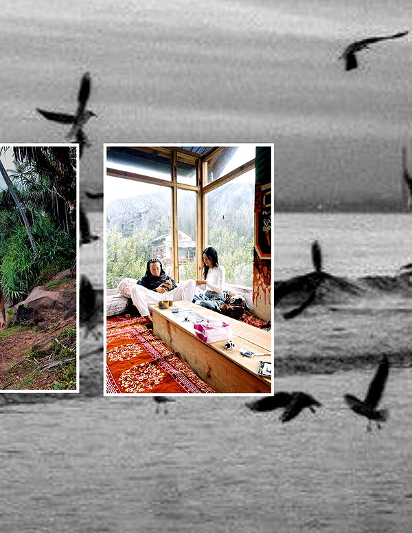 tamar_tsur instagram image archive image