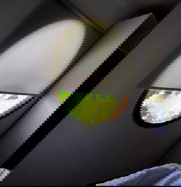 tamagotkri tamagotkri archive image