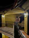 gissell_eli Altpins Profile Picture
