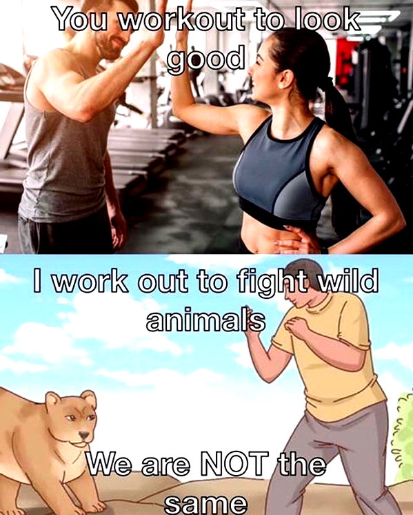 leanbeefpatty instagram image archive image
