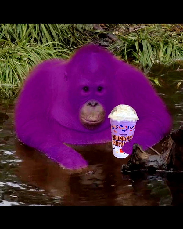 leanbeefpatty instagram image archive image