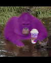 leanbeefpatty Altpins Profile Picture