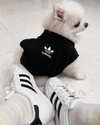 dear.zia Altpins Profile Picture