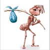 bobinskkii Altpins Profile Picture