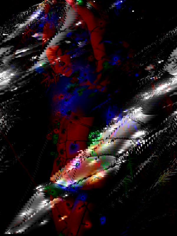 jasminxie2 jasminxie2 archive image