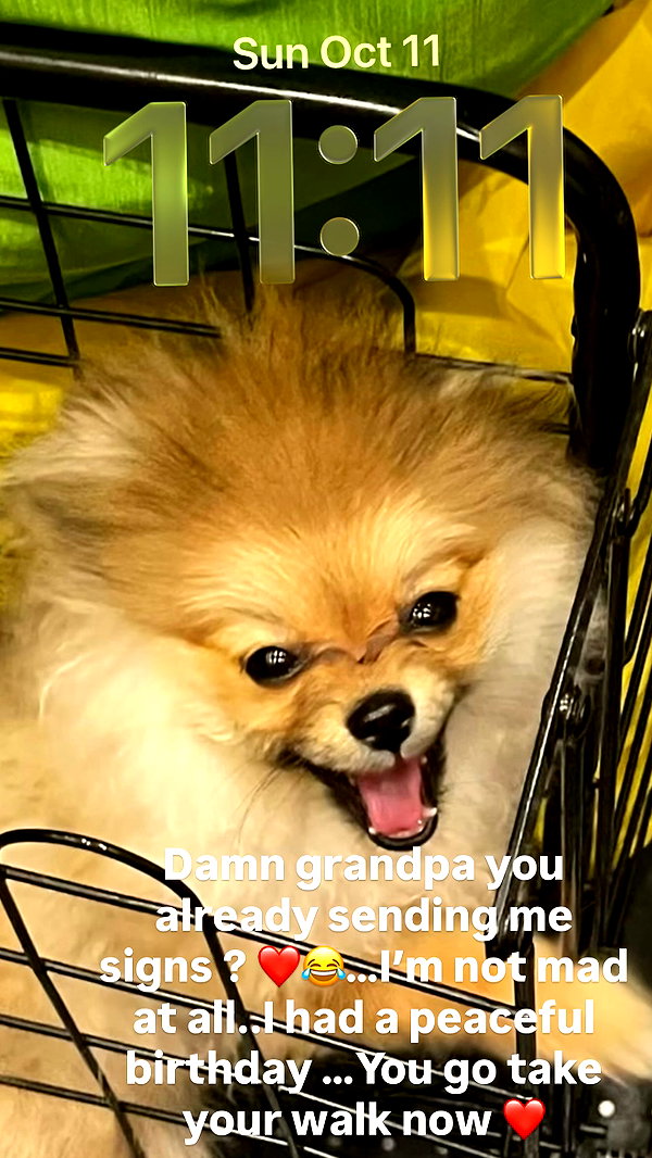 iamcardib instagram image archive image
