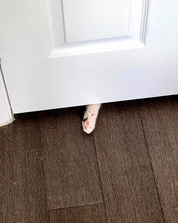 peachtoot.plz instagram image archive image