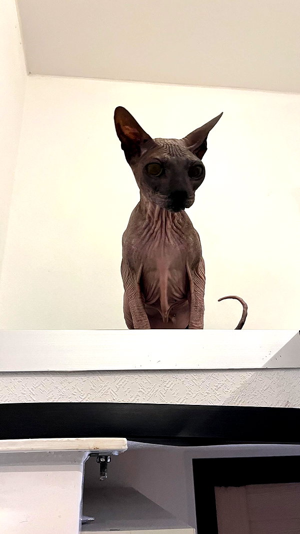3xiiicom instagram image archive image