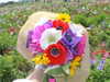 mishel_d_ Altpins Profile Picture