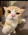 comeovwhenursober Altpins Profile Picture