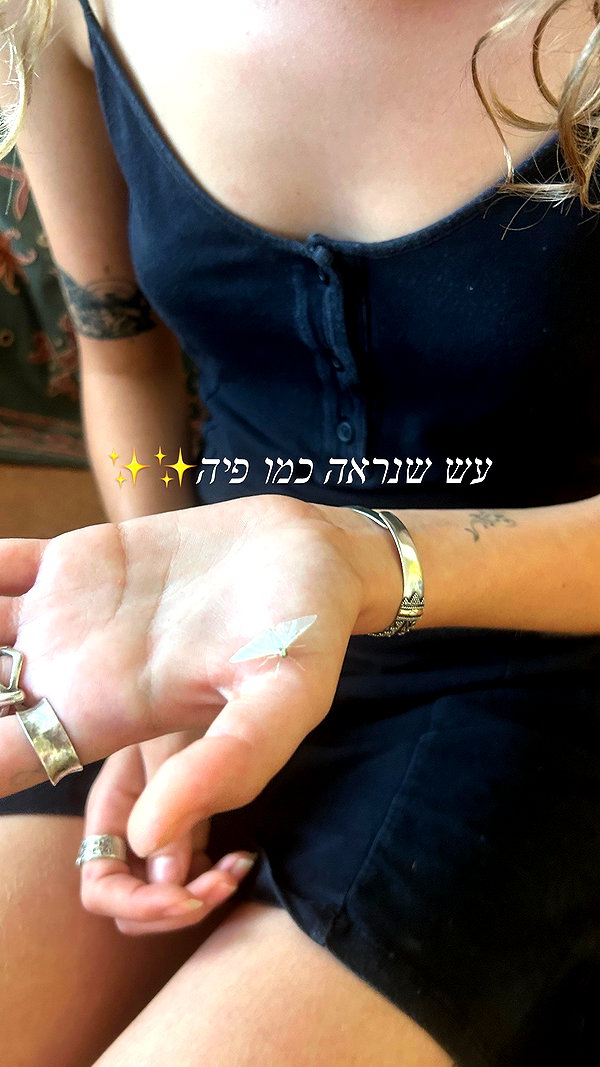 ronnyallon instagram image archive image