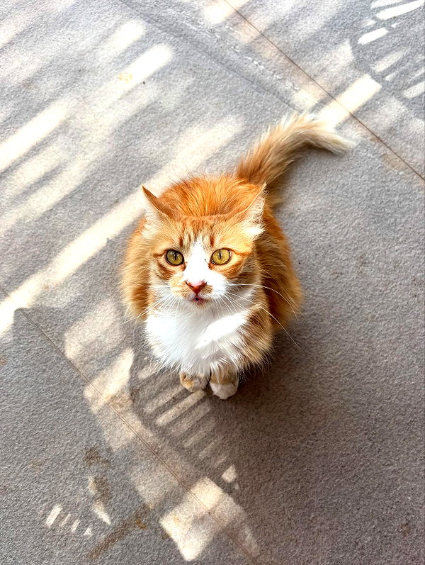 taylorcattanach instagram image archive image
