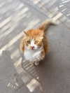 taylorcattanach Altpins Profile Picture