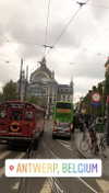 nikoleta.milenova Altpins Profile Picture