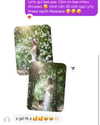 lyhythuedoxinh Altpins Profile Picture