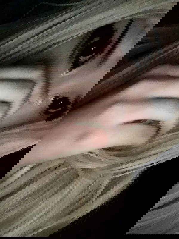 starttles starttles archive image