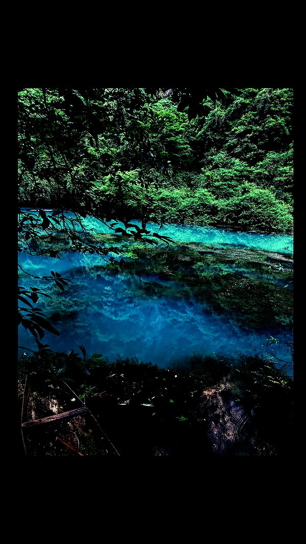 nikoleta.milenova instagram image archive image