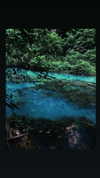 nikoleta.milenova Altpins Profile Picture