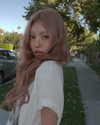 daxbin Altpins Profile Picture