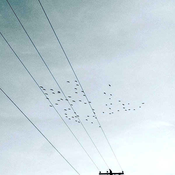 gerrryxtt instagram image archive image