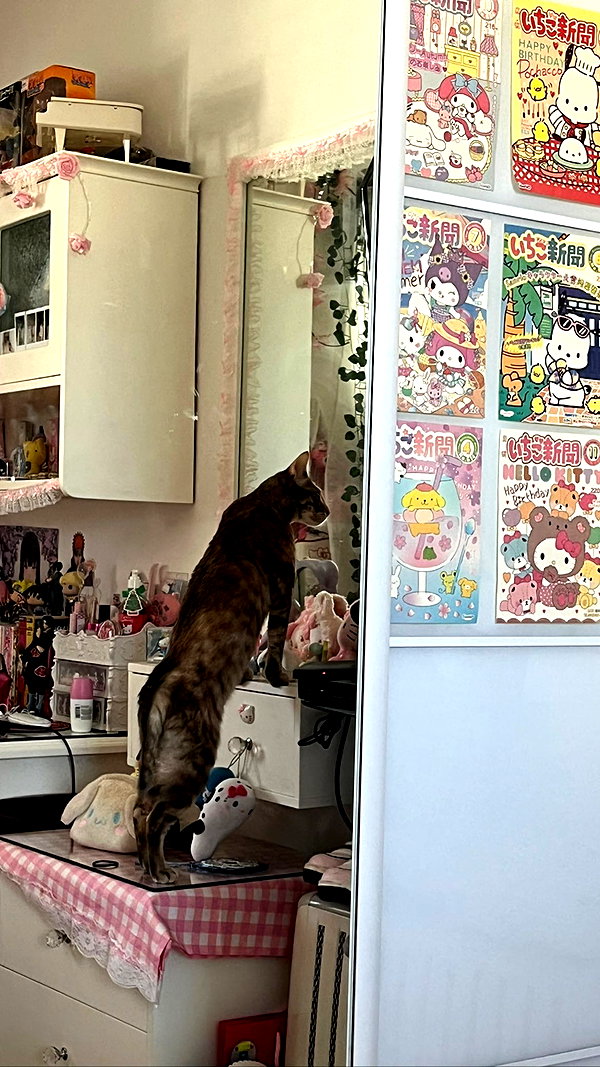Archived image from @notchicore on Instagram